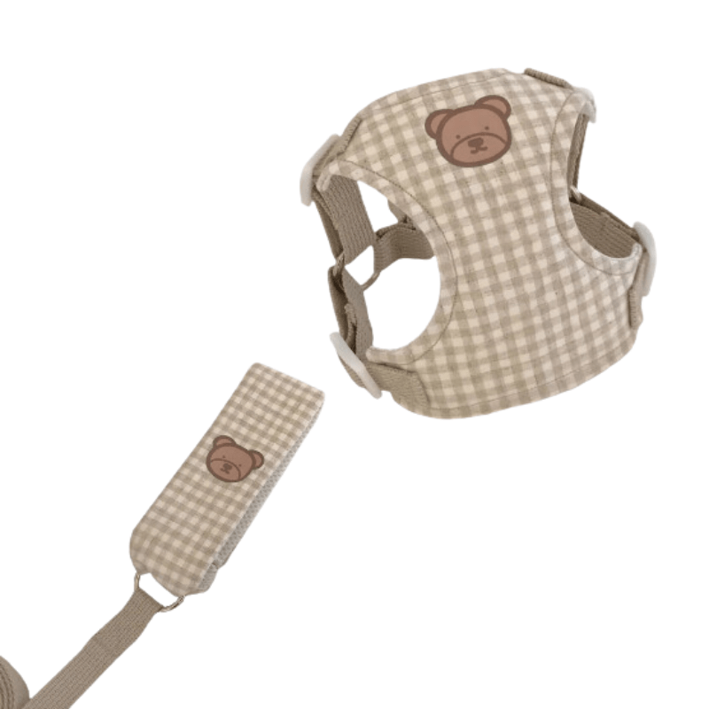 Harnas agus Leash Madra Óg Galánta agus Compordach