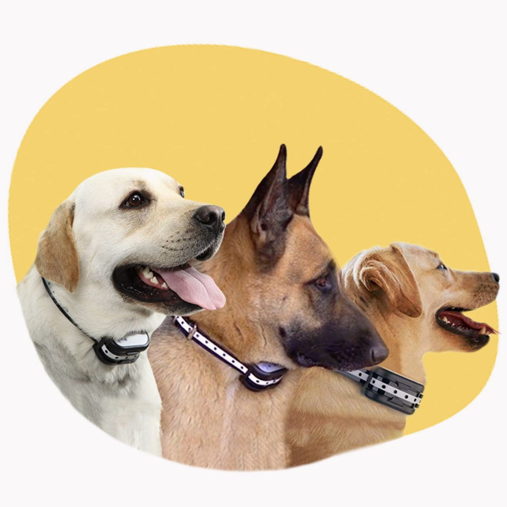 Cosaint agus Compord Optamach do Chosa do Pheata