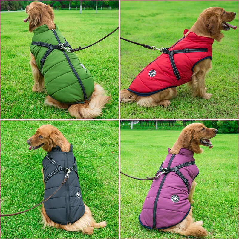 Cóta Madra Uiscedhíonach Só le Insliú Teolaí le haghaidh Teas Breise