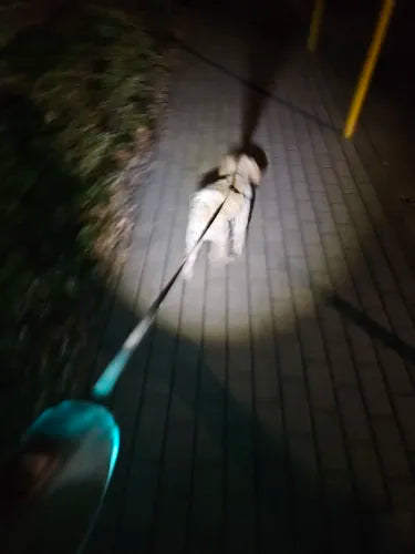 Sábháilteacht Madra Uile-Éifeachtach: Soilsiú LED agus Raon 5m do Shiúlóidí Oíche