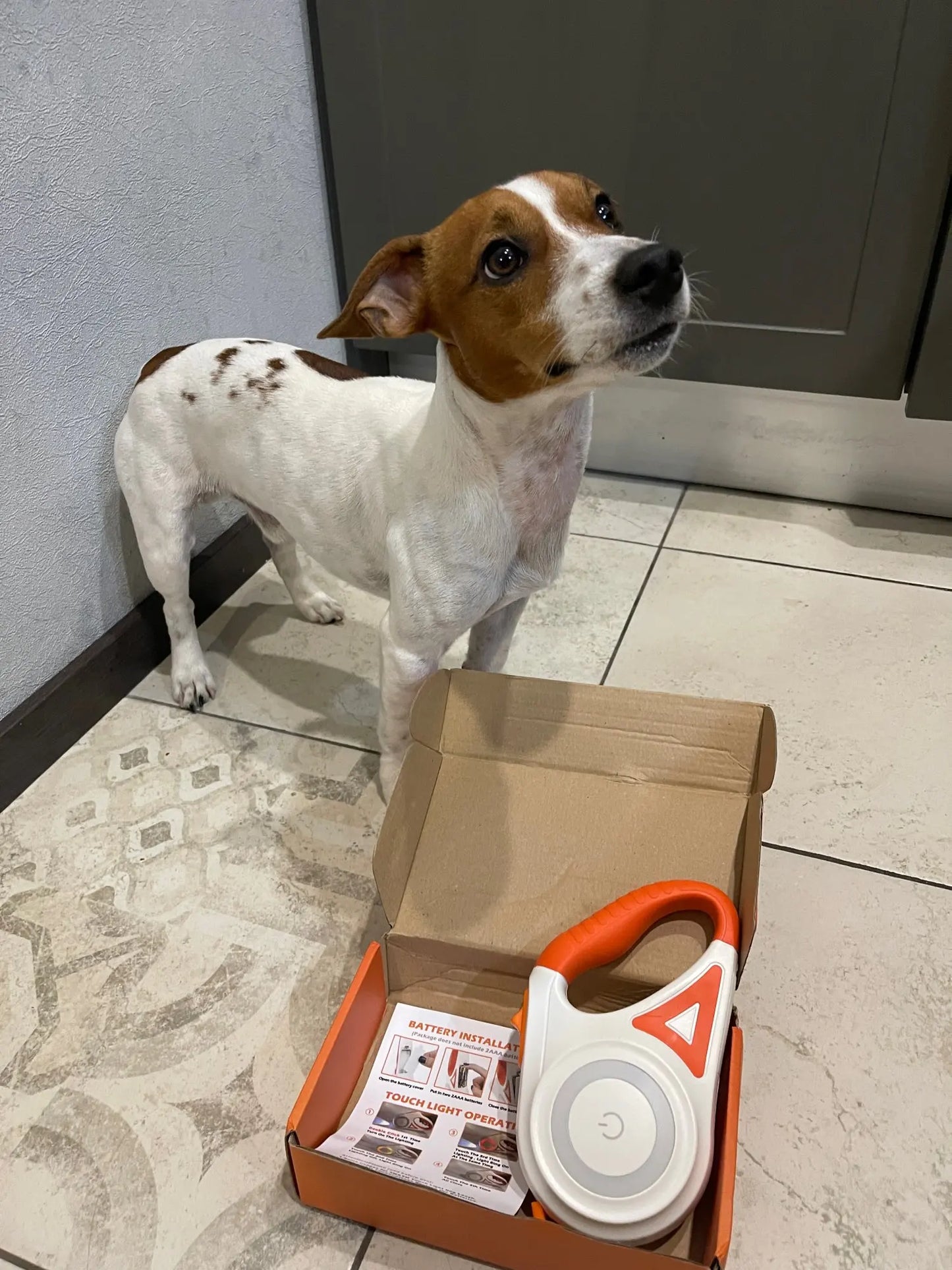 Sábháilteacht Madra Uile-Éifeachtach: Soilsiú LED agus Raon 5m do Shiúlóidí Oíche