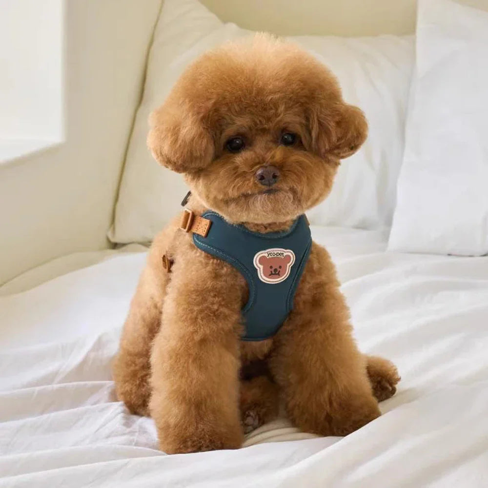 Harnas agus Strap Inchoigeartaithe agus Dathúil le haghaidh Compord agus Sábháilteachta