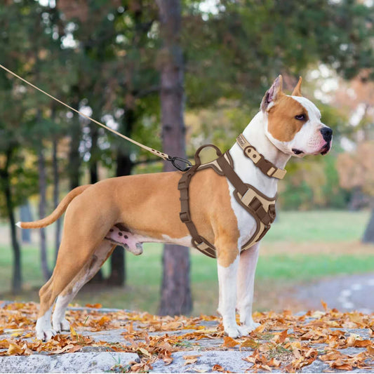 Harnas Madra Inchoigeartaithe Luxe do Ghrúpaí Beaga agus Móra