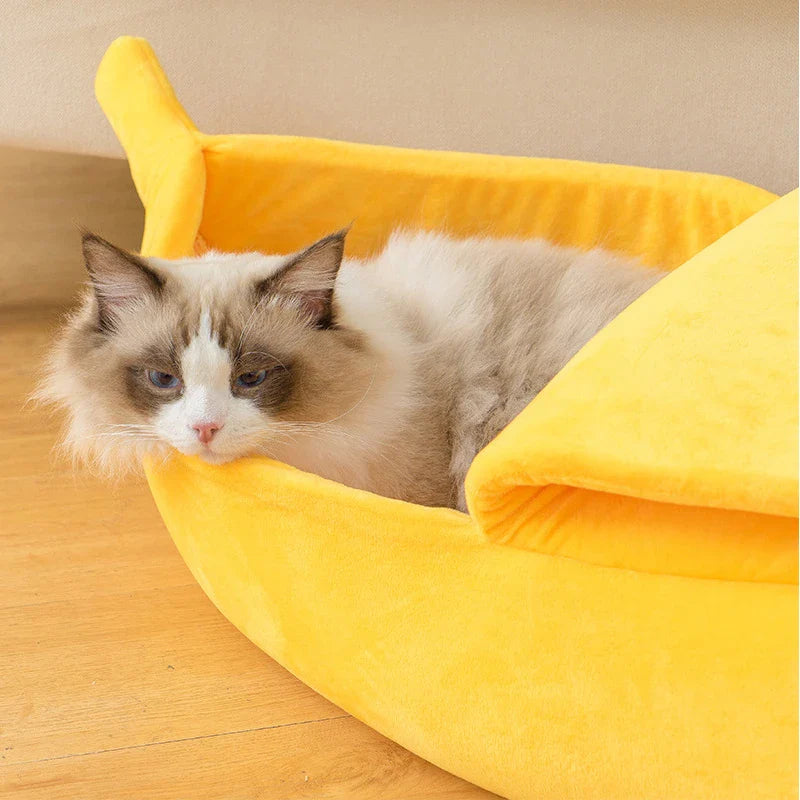 Leaba Cat Bog agus Compordach le Teagmháil Spraíúil