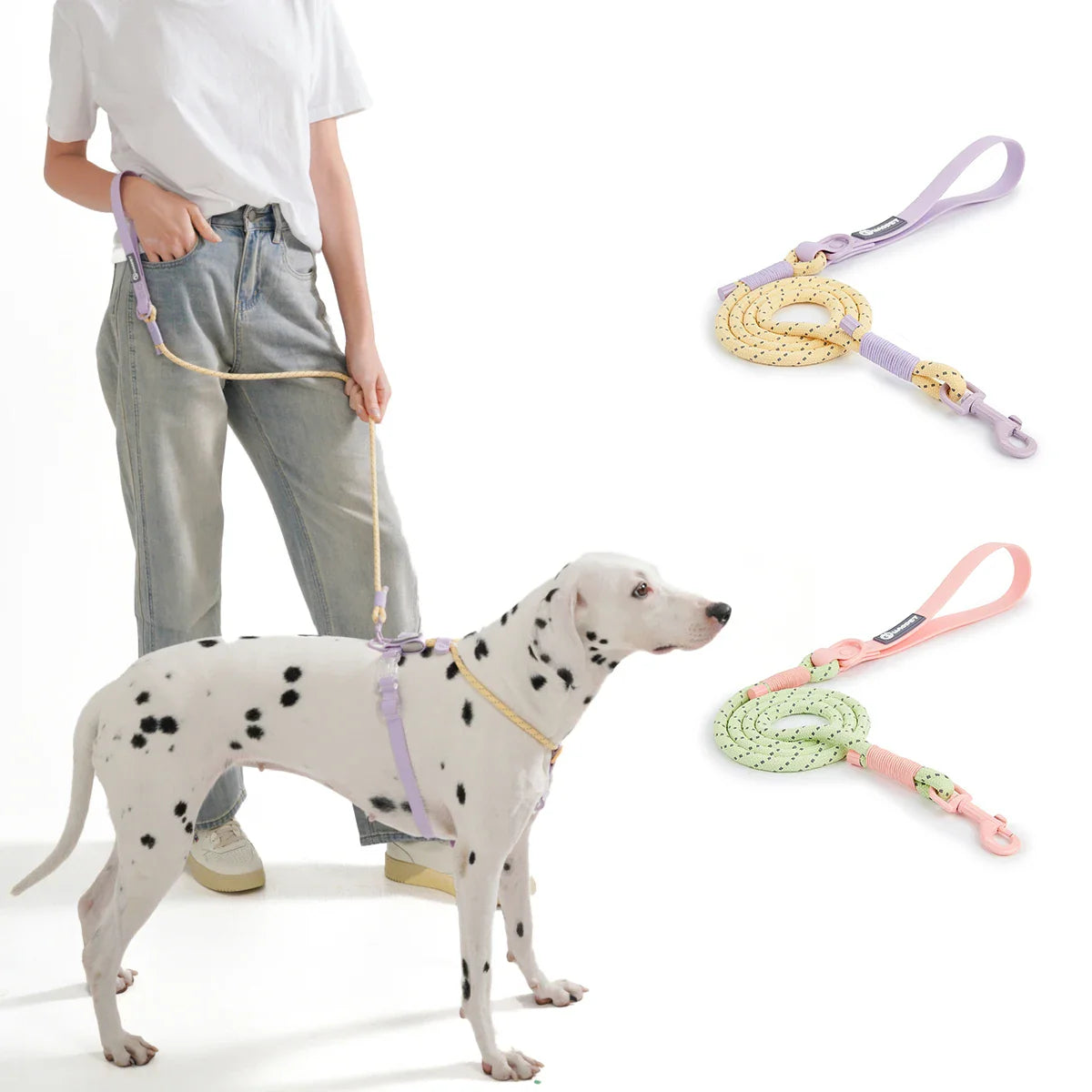 WebTrek Luxe Leash Madra Níolón Láimhe Fite do Chompord agus do Dhéantúsacht