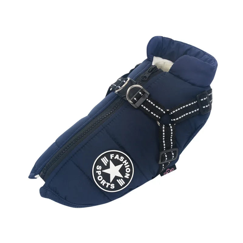Cóta Madra Te agus Cosanta do Laethanta Fuar