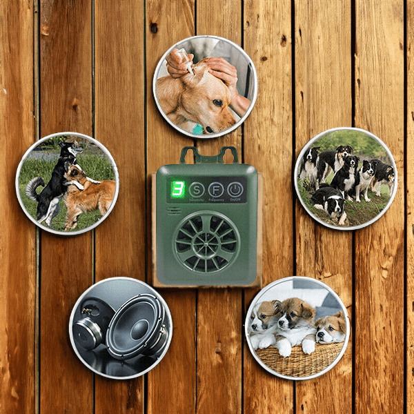 Córas Slándála Frithghlaoite Custaiméara Sábháilte agus Iontaofa