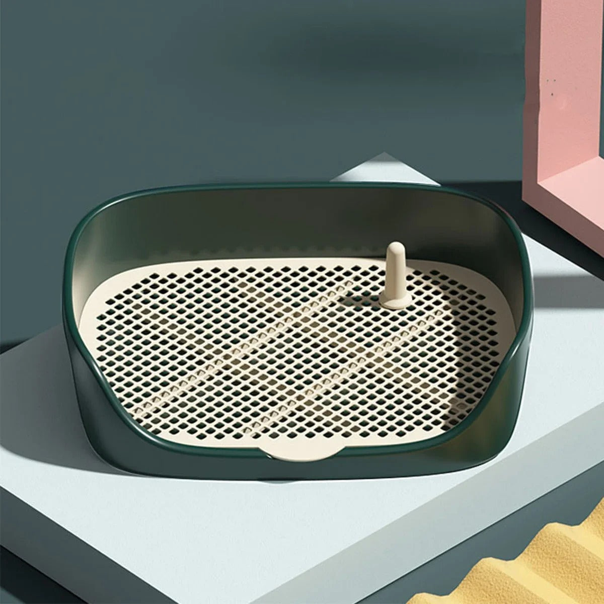 Traenáil do Mhadra le haghaidh an Phoiteáin