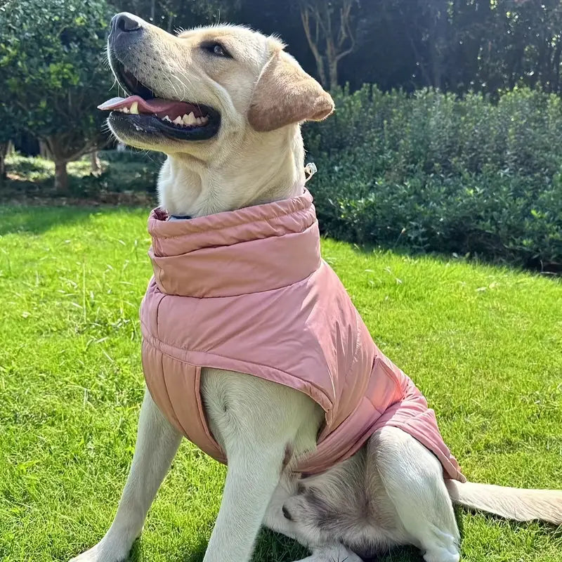 Cosaint Cos is Fearr do Pheataí le haghaidh Compord agus Sábháilteacht Uile-umhaigh