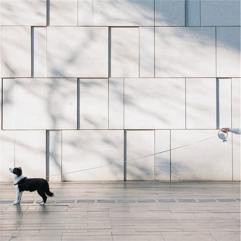 Slabhra Madra Inaistrithe le haghaidh Rialú agus Áisiúlacht Uile-umhaine