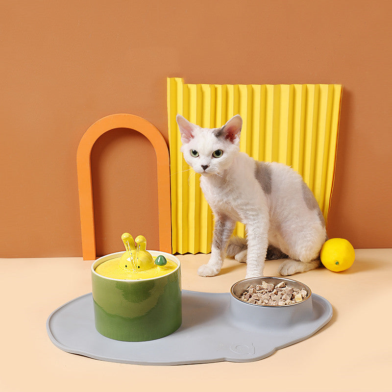 Scáthán Uisce Faiseanta do Ghéarchéim Shláintiúil agus Shona