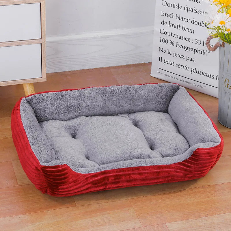 Teach Te Winter Chomp Comfortable do Mhadraí