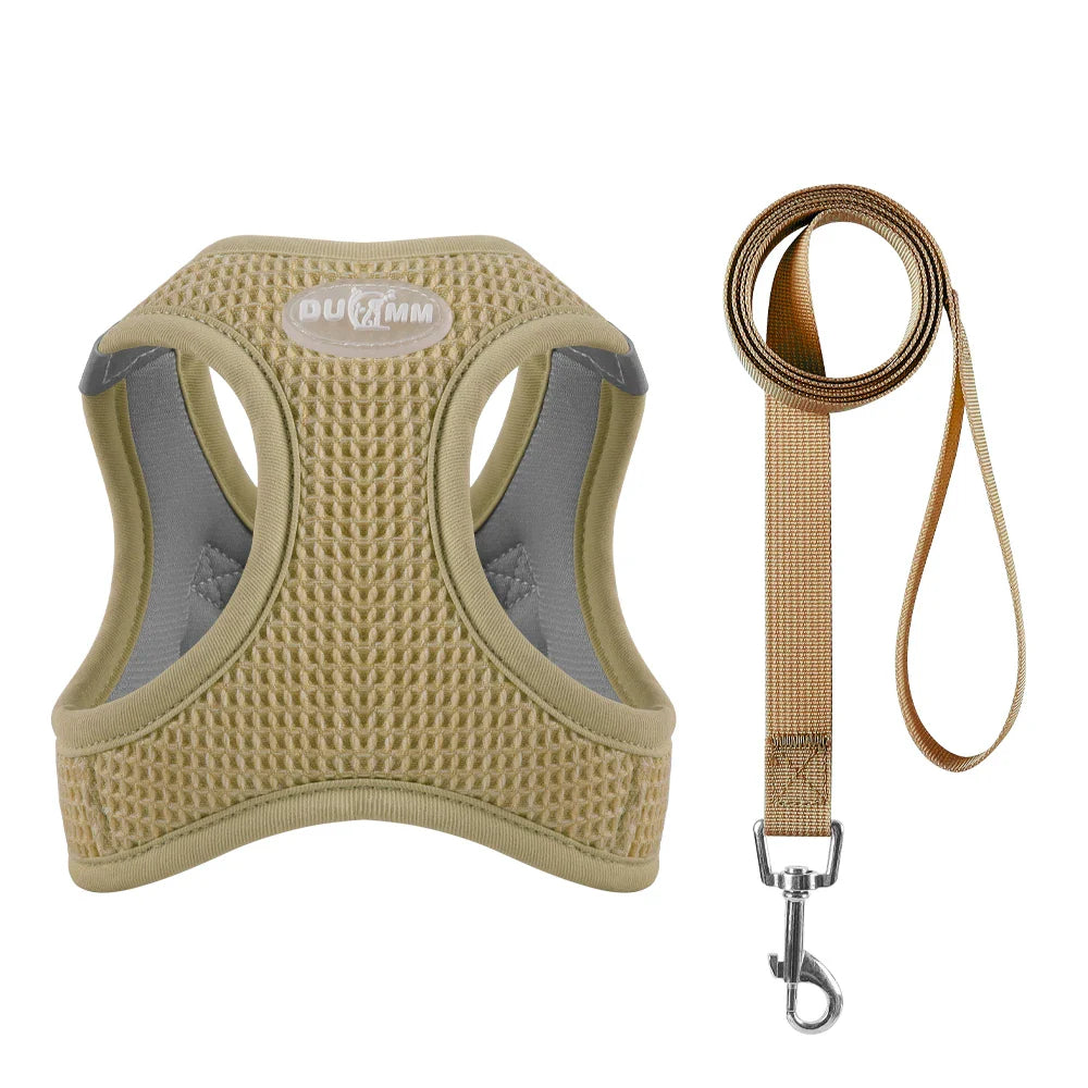 Harnas Inchoigeartaithe Compordach