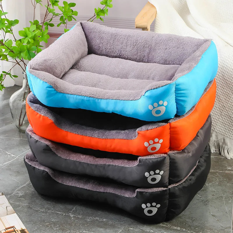 Teach Te Winter Chomp Comfortable do Mhadraí