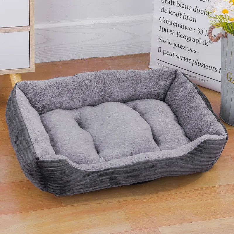 Teach Te Winter Chomp Comfortable do Mhadraí