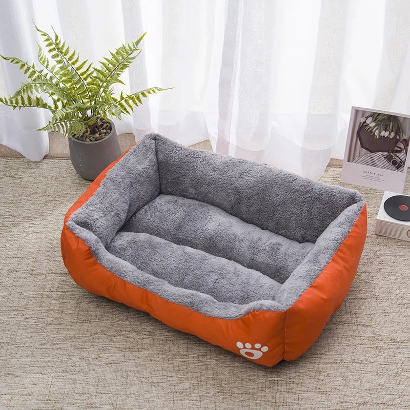 Teach Te Winter Chomp Comfortable do Mhadraí