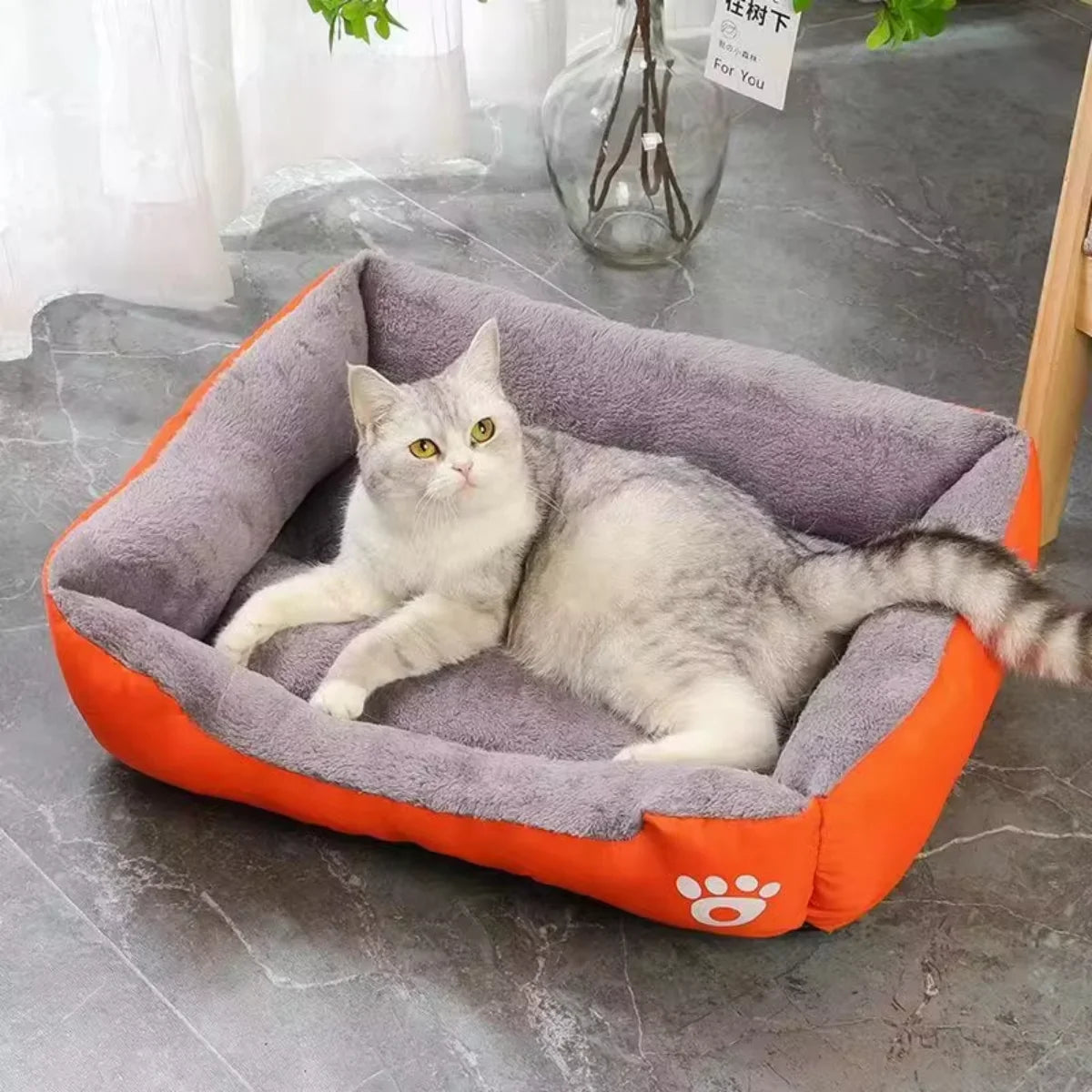 Teach Te Winter Chomp Comfortable do Mhadraí