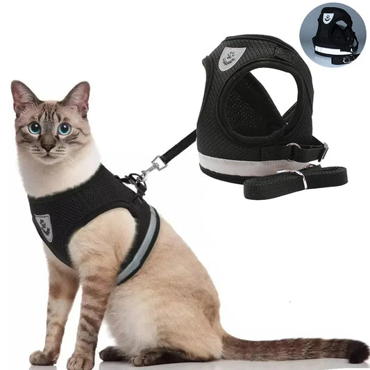 Harnas Cat Inchoigeartaithe le Sonraí Machnamh le haghaidh Sábháilteachta Bhreise