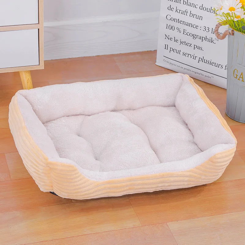 Teach Te Winter Chomp Comfortable do Mhadraí