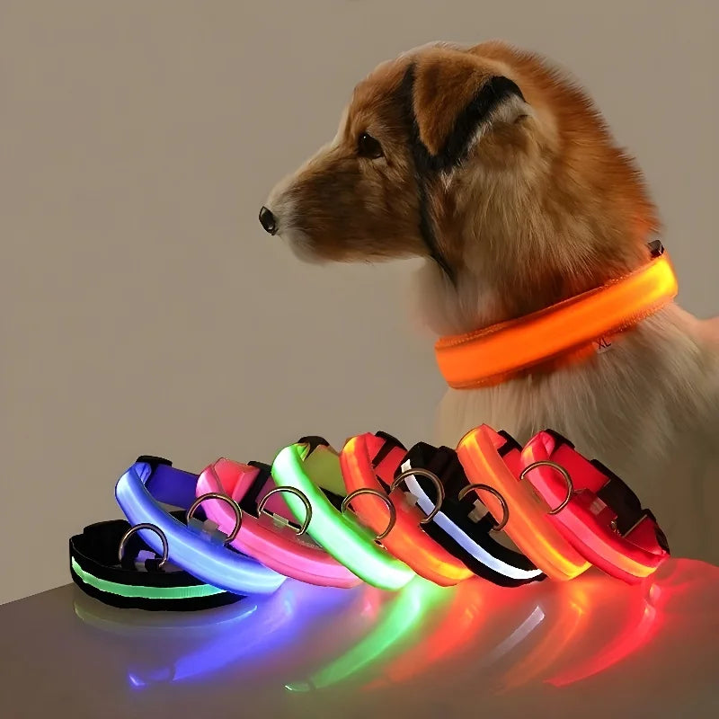Coiléar Madra LED Luxe do Shábháilteacht Oíche Uile-umhnach