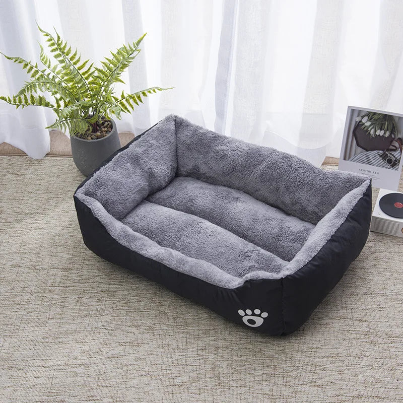 Teach Te Winter Chomp Comfortable do Mhadraí