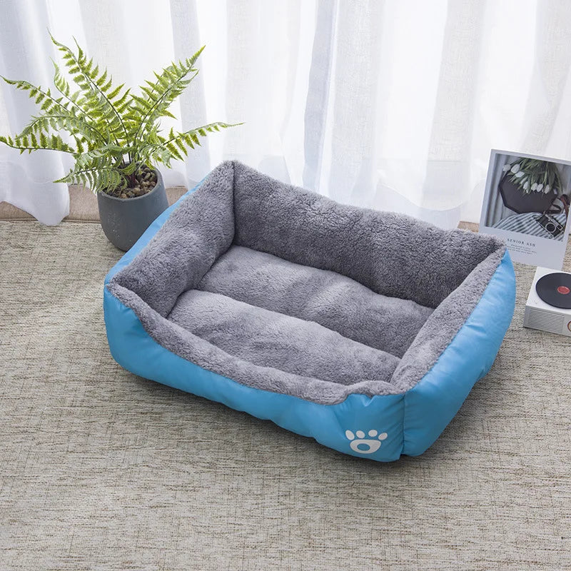Teach Te Winter Chomp Comfortable do Mhadraí