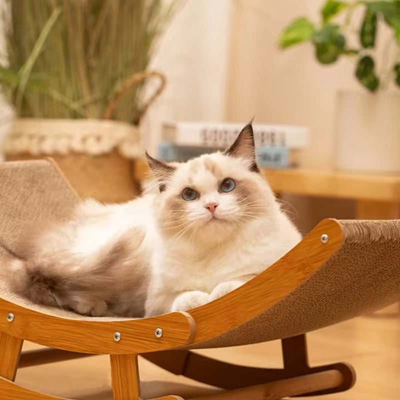 Cat Clawed