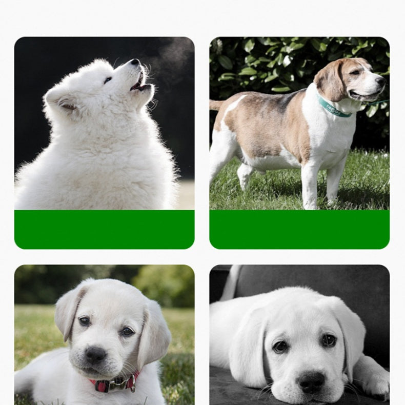 Mata Bia Silicone Compordach agus Solúbtha le haghaidh Bainistíocht Éasca Ama Bia